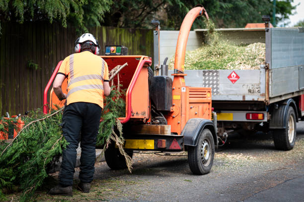 Best Tree and Shrub Care  in Eureka, KS